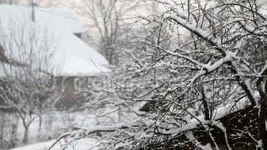 带着树在村子里飘落的雪